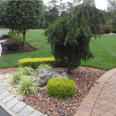 Ciaglia Landscaping, Monmouth County Landscaping, Holmdel Landscape Design