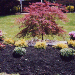 Ciaglia Landscaping, Monmouth County Landscaping, Holmdel Landscape Design