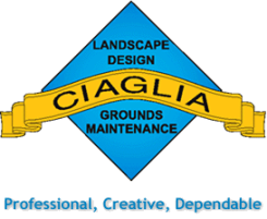 Ciaglia Landscape Design and Grounds Maintenance